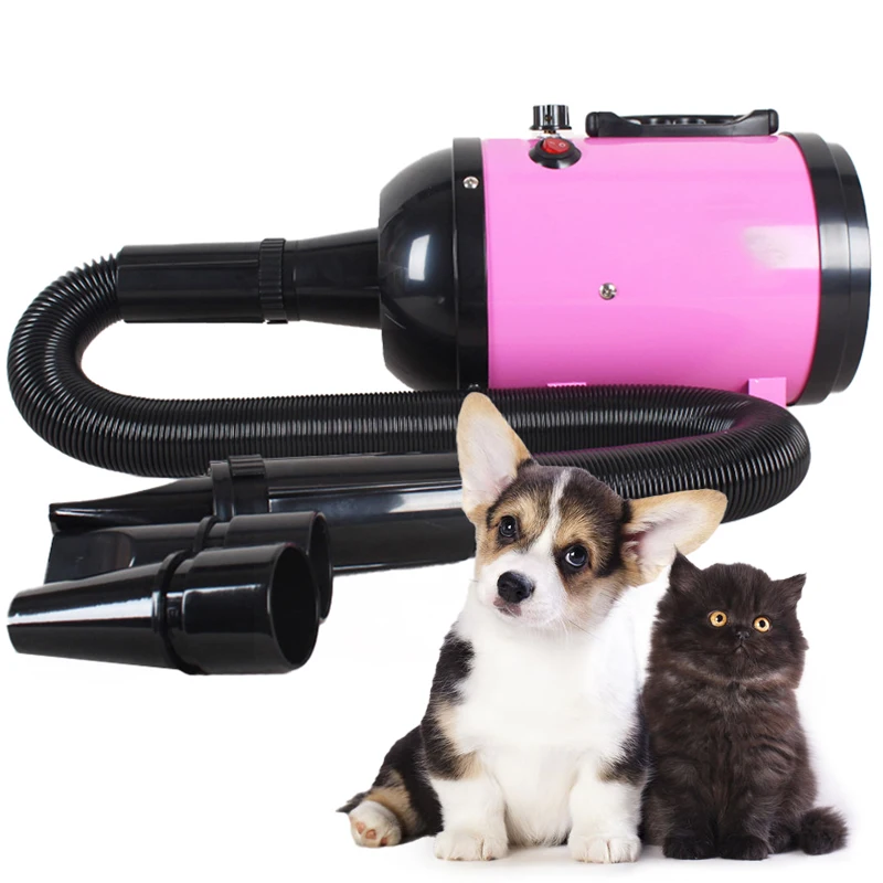 

Safe Efficient Pet Care Equipment, Brushless Pet Hair Dryer, Protect Hair, Durable and Portable Dog Grooming Dryers for Sale