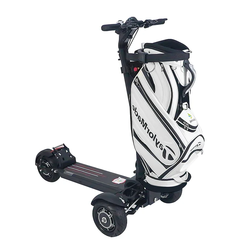 

Новый дизайн, высокая мощность, большой крутящий момент, стандартная тележка, скутер, электрическая тележка, три колеса с сиденьем