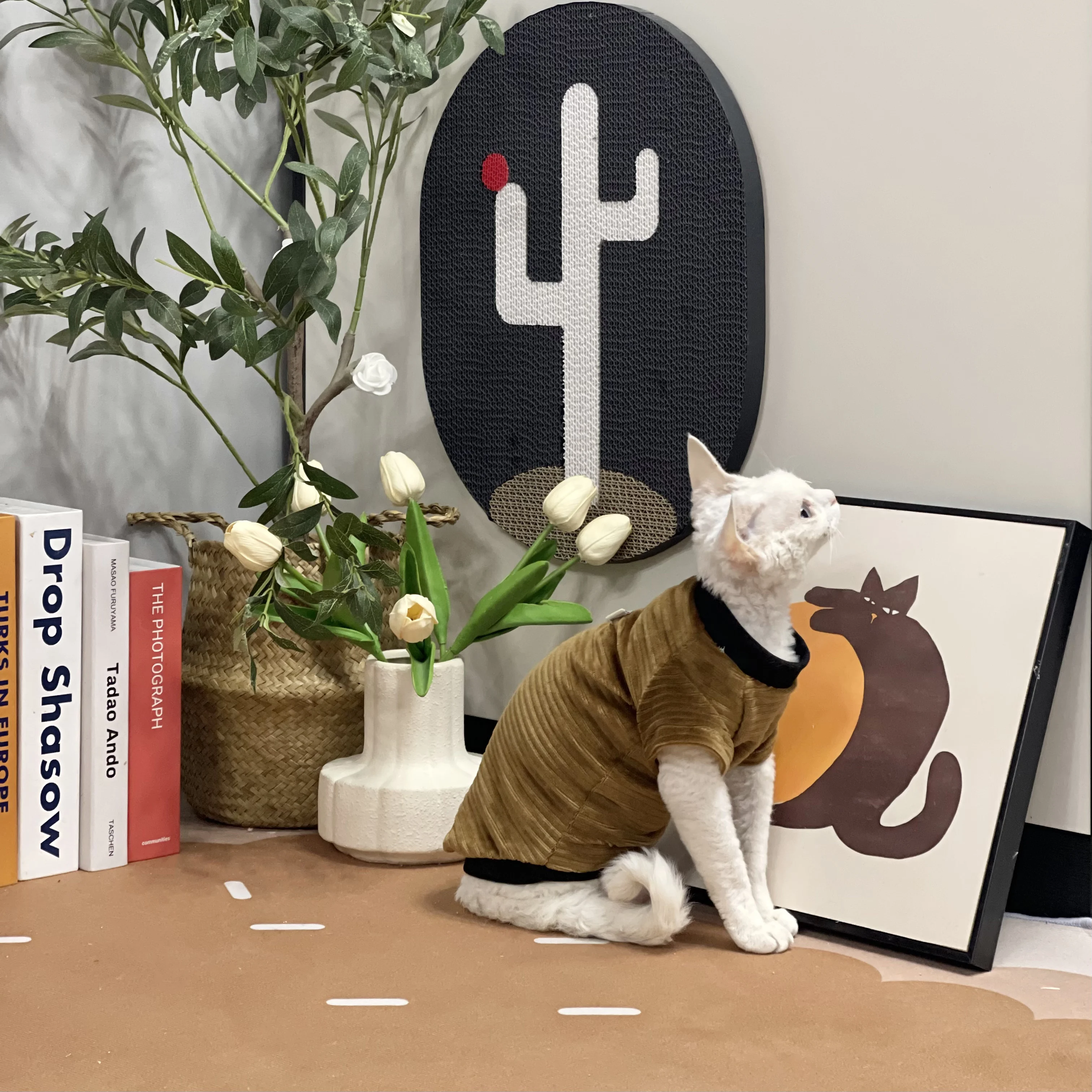 Толстая черная флисовая куртка для кошек спайнкс мягкая Толстовка мужчин