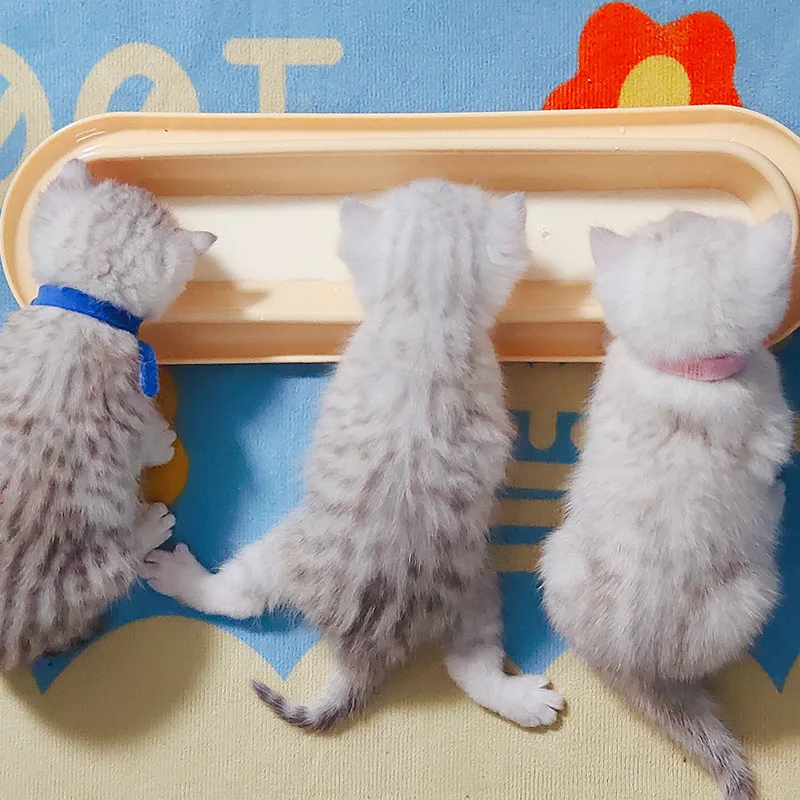 

Pet Food Bowl Tilt High Neck Protector Kitten Puppy Food Feeding Bowls Cats Drinking Feeder Multi-cat Household Kitten Supplies