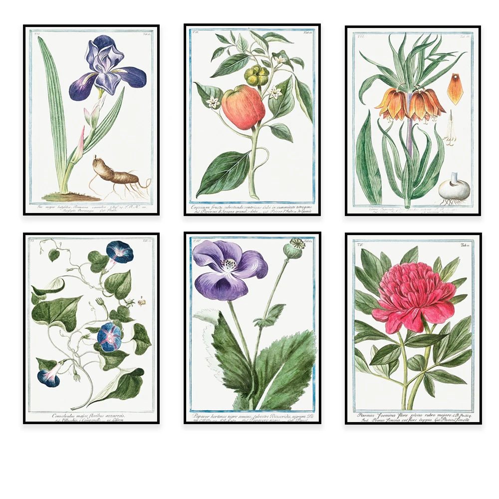 Римский сад Постер Джорджио бонелли лилии и нарцилы гвоздики биндавские