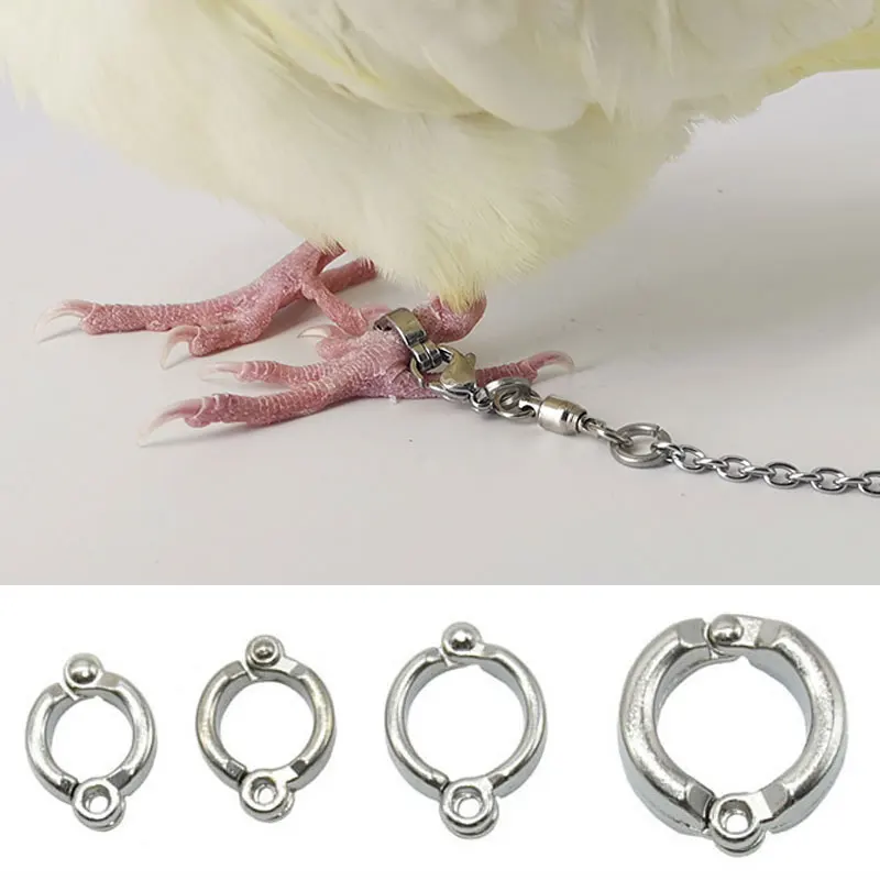 

Кольца для попугая из нержавеющей стали, металлические уличные открытые зажимы для питомцев, для обучения летающим животным