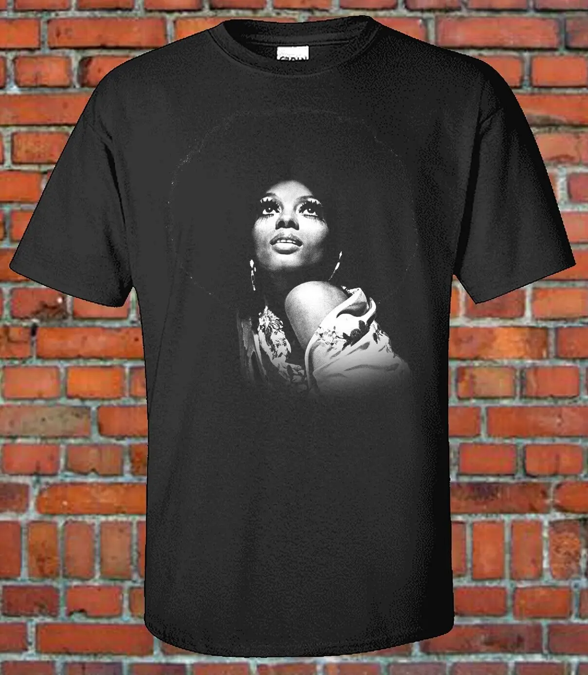 Diana Ross ( AFRO) Классическая черно-белая футболка с рисунком певца R&ampB