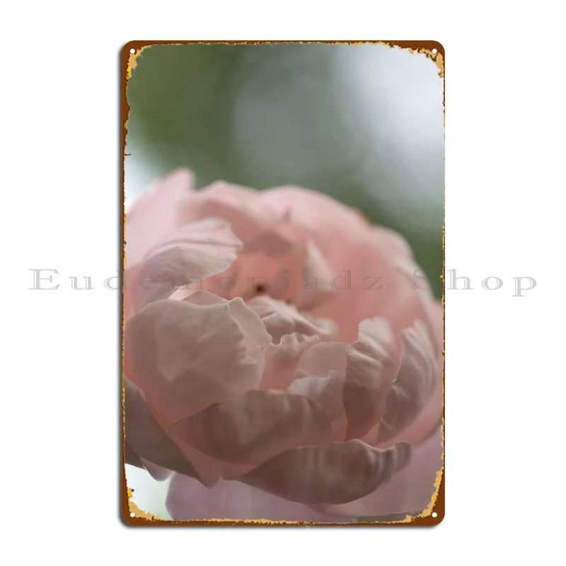 

Нежный шлейф, розовый металлический знак, винтажный творческий персонализированный клубный жестяной плакат