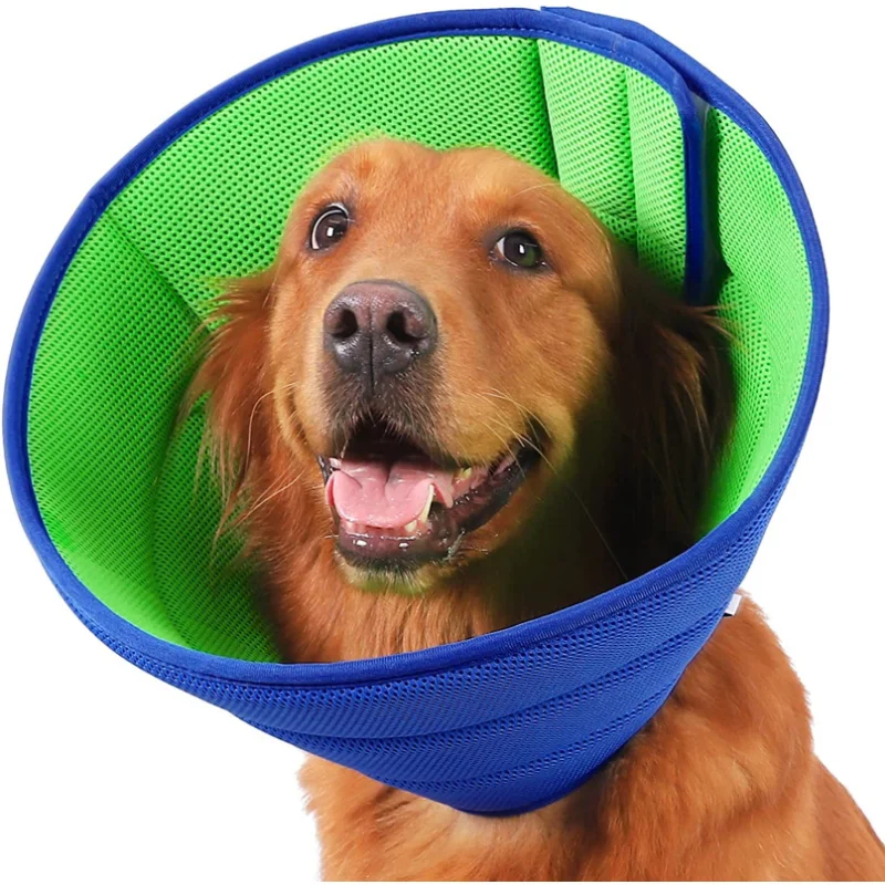 

Cone Elizabethan Collars for Pets Kitten and Small Medium Large Dogs S/for M/L/XL Cone Collar for Cats and Puppies Dog