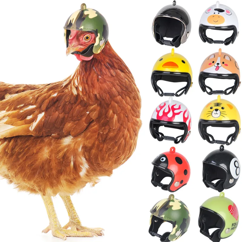Chicken Helmet Small Pet Hard Hat Bird Quail Pigeon Hat Headgear Pet Bird Helmet DIY Cartoon Character Helmet Pet Supplies