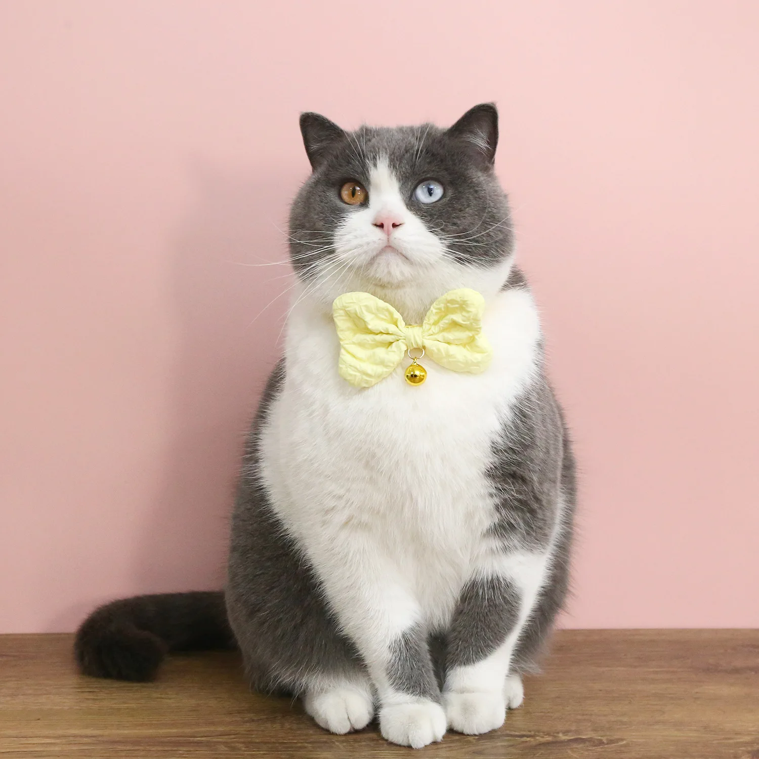 

10PCS Color Big Bowknot Pet Collar Tie Adjustable Birthday to Bell the Cat Dog Deserve to act the role of Necklace