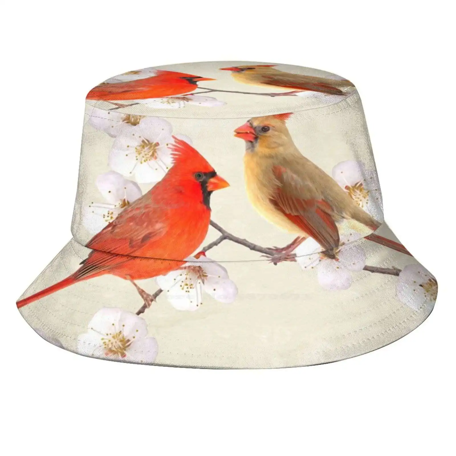 

Northern Cardinal Birds Korean Caps Funny Beach Bucket Hats Northern Cardinal Bird Female Cardinal Bird Two Cardinal Birds