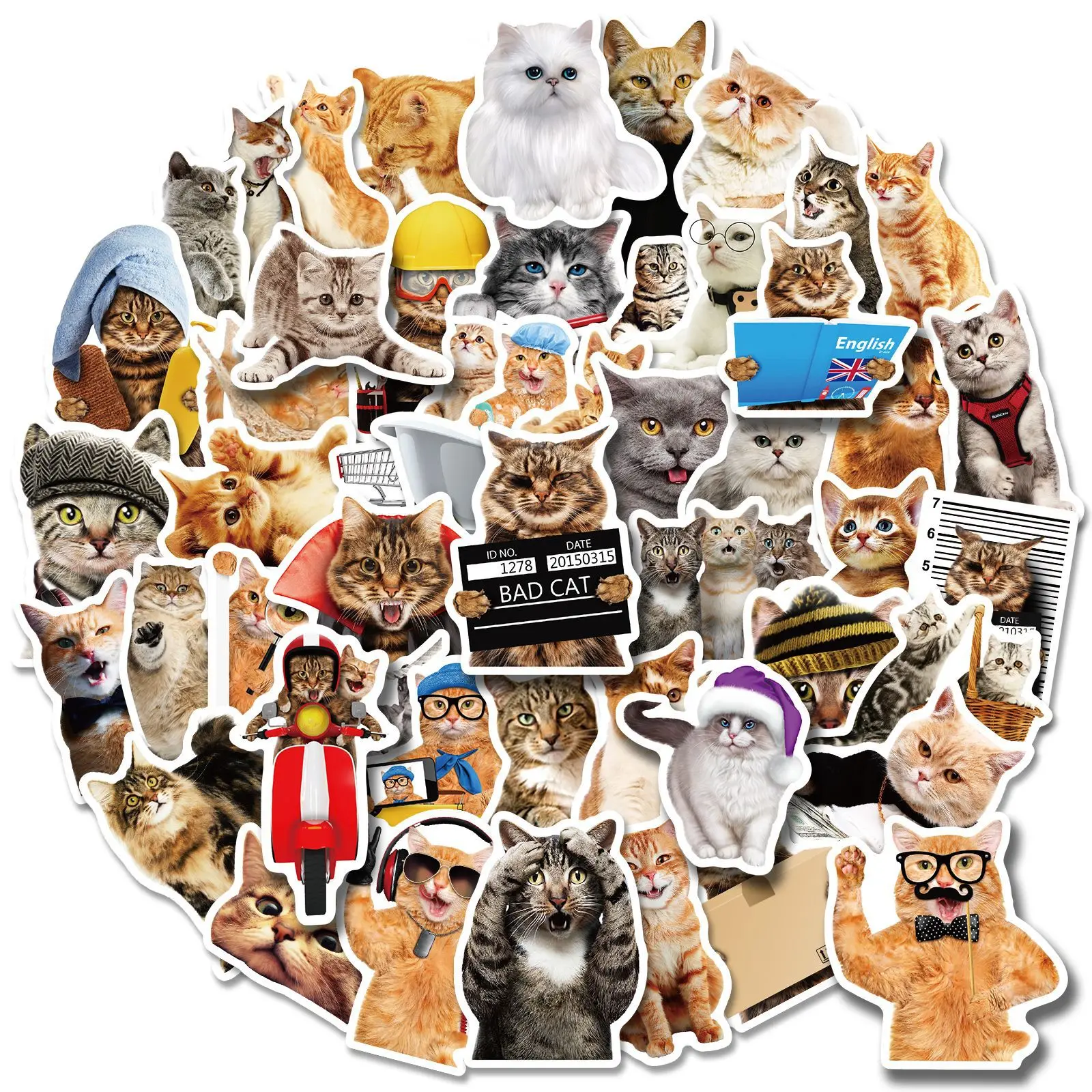 

50 Realistic Cat Stickers Cute Funny Cat Suitcase Guitar Waterproof PVC Graffiti Stickers Kawaii Sticker Wholesale