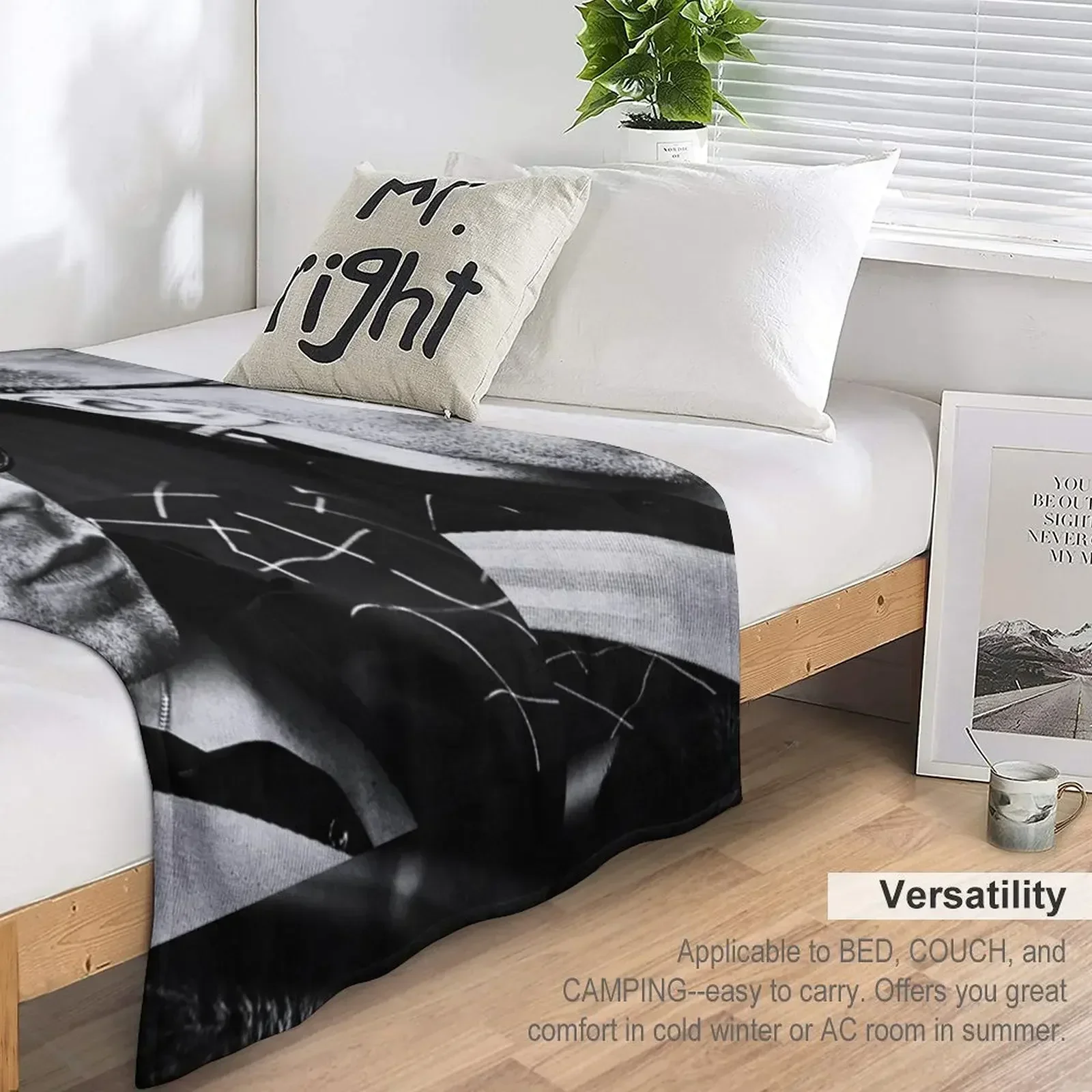 Себастьян Стэн одеяла | наклейки iphone Чехлы плед одеяло диван мягкие большие