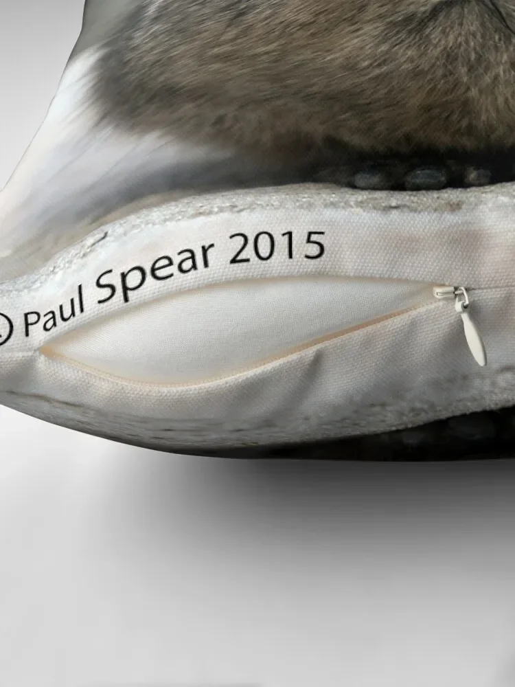 Рок Hyrax диванная подушка под заказ Подушка фото наволочка набор для дивана