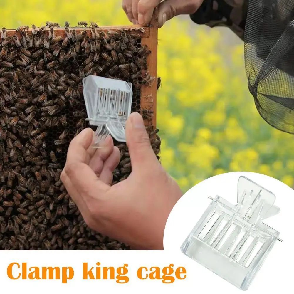 

Bee Cage Bee Queen Catcher Colorless Plastic Queen Equipment Clip Beekeeper Beekeeping Isolation Cage Room Tools C8t7