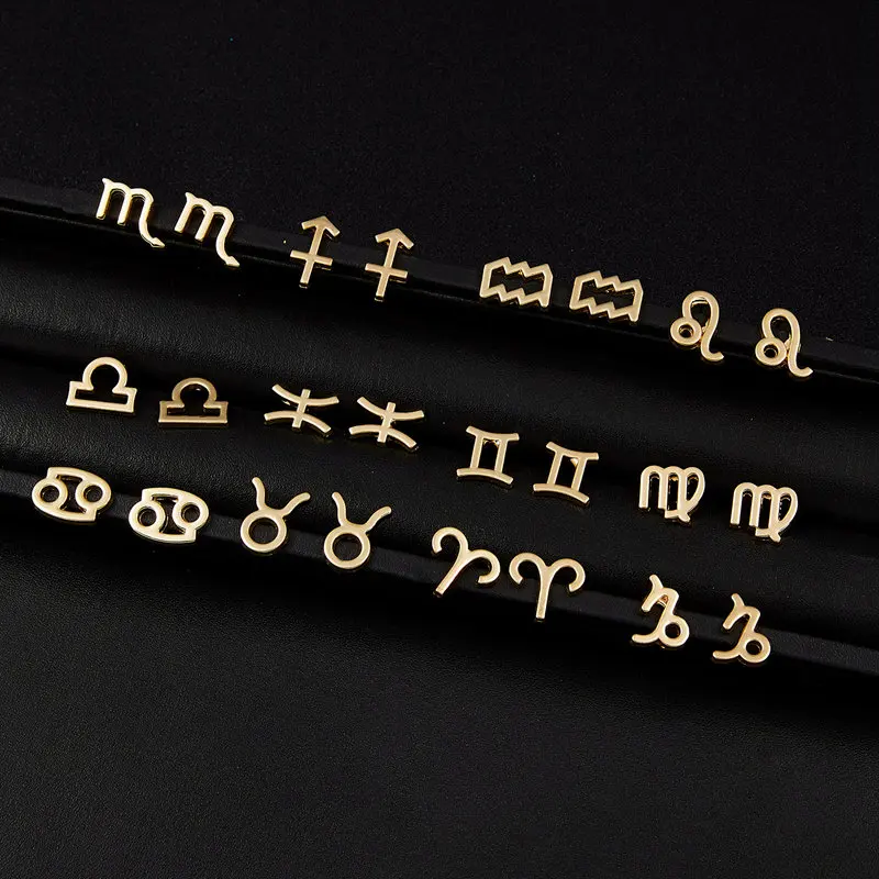 

Fashion Zodiac Sign Constellation Stud Earring for Women Punk Metal Piercing Birthday Party Daily Jewelry Ear Gift Accessories
