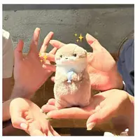 Плюшевые выдры #3