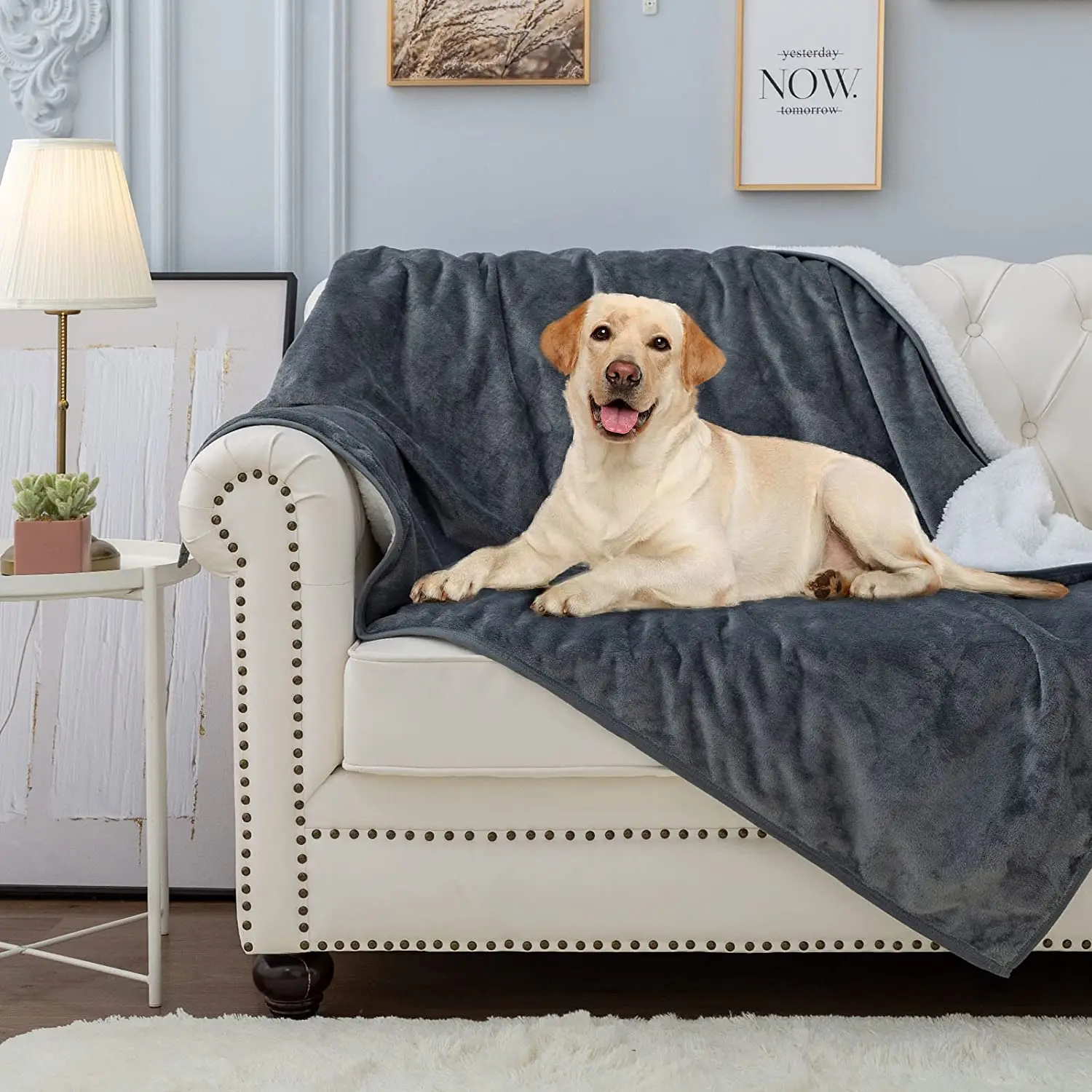 

Водонепроницаемое одеяло для домашних животных, устойчивое к моче одеяло для собак, для дивана, кровати, кушетки, двусторонний флисовый защитный чехол для мебели