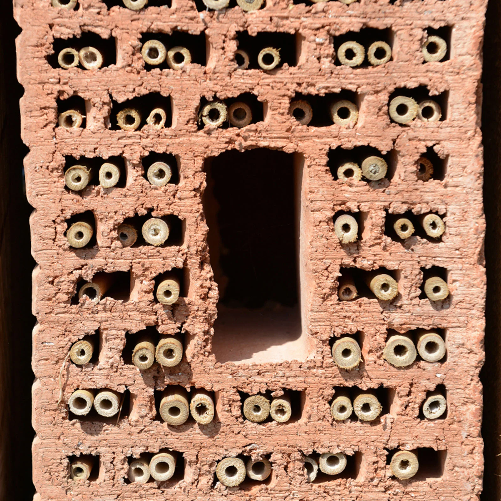 100 шт. трубки сотовый тростник буквы пчелы многоразовый дом сделай сам для