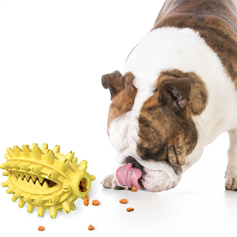 Игрушки для собак детская игрушка зубная щетка чистки зубов |