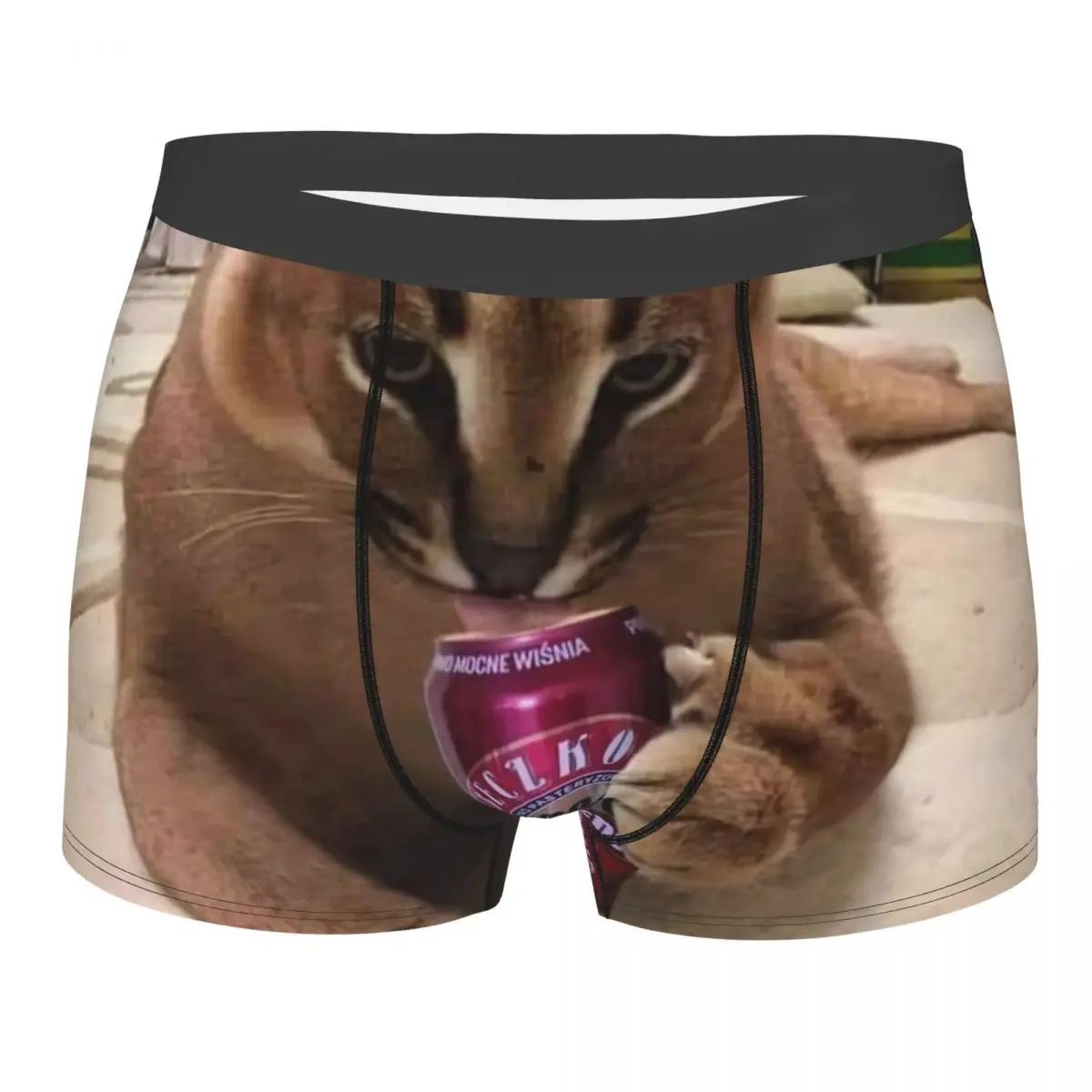 

Male Cool Floppa Underwear Boxer Briefs Men Stretch Shorts Underpants