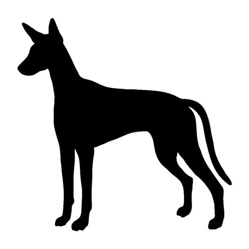 

Ibizan Hound Dog Vinyl Decal Silhouette Car Stickers Car Styling Bumper Decoration Window Windshieldwater Proof Accessories
