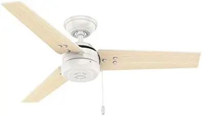 

50260 Cassius Outdoor Ceiling Fan with Pull Chain, 44", Matte Black Finish