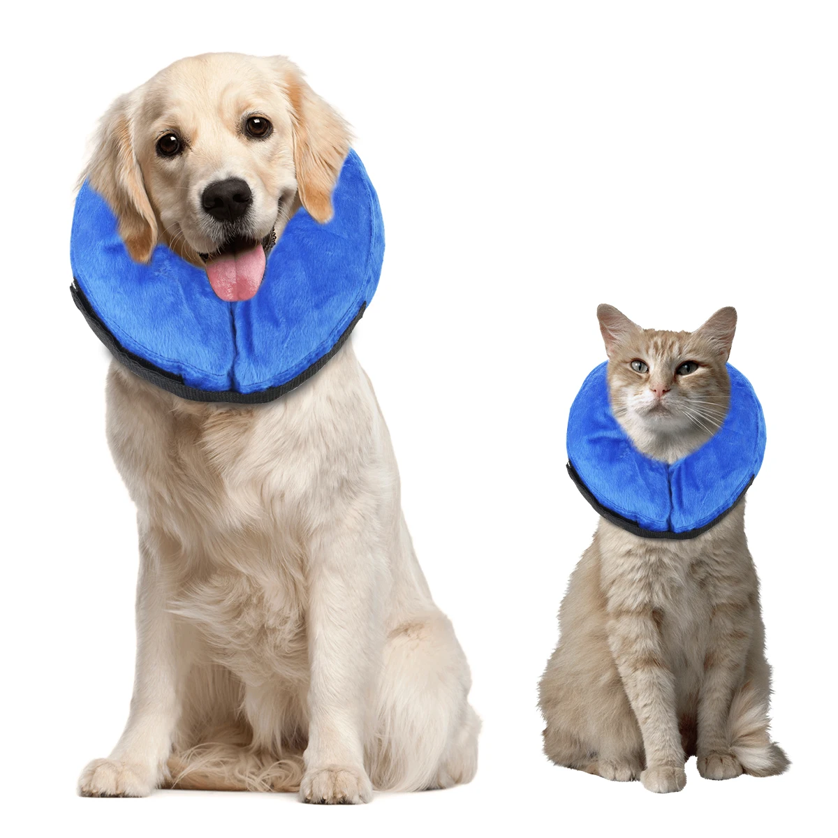 

Inflatable Pet Collar Dog Cat Wound Healing Protection Anti Bite Safety Collar 1 1 1 1 1 1 1 1 1 1 1 1