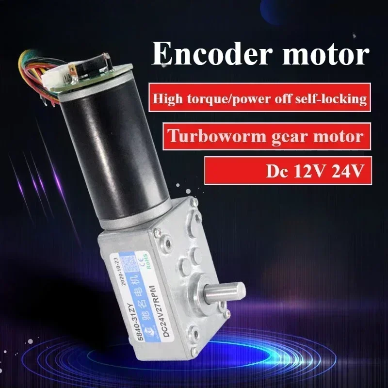 High Torque 12v DC Motor 24V Electric Worm gear motor With Encoder