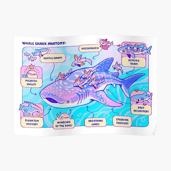 

Кит, Акула, искусственная живопись, Декор, печать, Настенная роспись, Современная забавная комната, украшение для дома, картина, искусство, Винтаж, без рамки