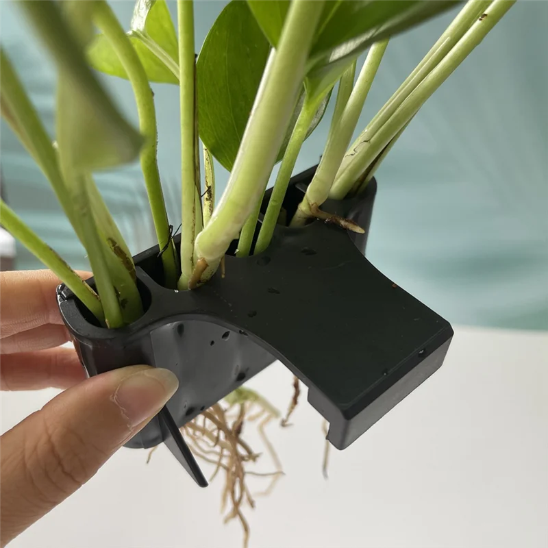 2 шт. держатель для растений с открытым лицом подвесной водных в аквариуме