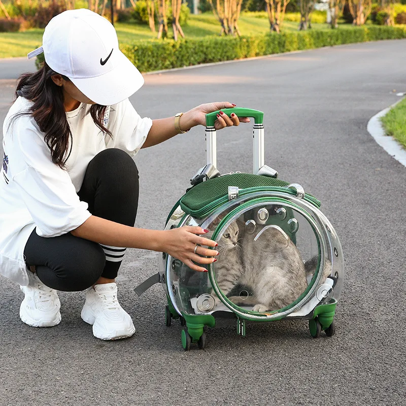 

Прозрачный чемодан для домашних животных, переносная сумка для кошек и собак в виде капсулы, вместительный рюкзак для кошек и собак на коляс...