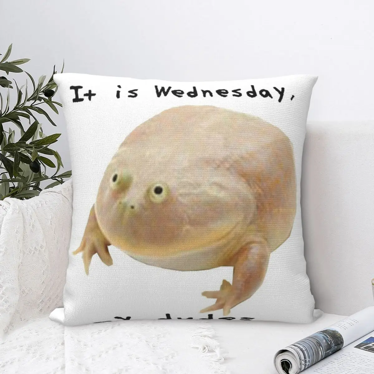 

Wednesday Frog Pillow Case Pillow Cover Luxury For Bedroom Throw Pillows Polyester Cushion Cover