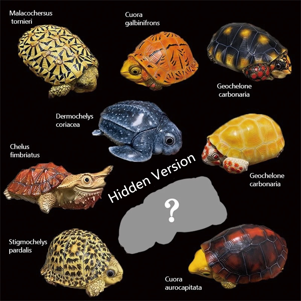 

Cuora Flavomarginata Emydidae Geochelone глухая коробка модель фигурки коллекционное украшение подарок океан животное таинственная коробка блин черепаха