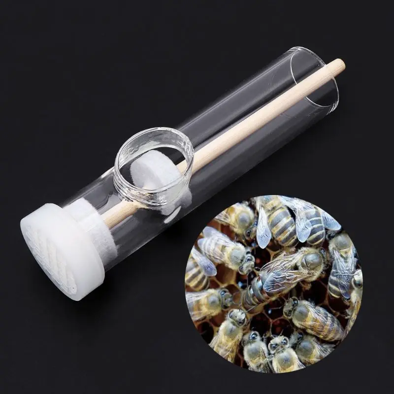 

Портативный нетоксичный Ловец, устойчивый пчеловодческий маркировочный стеклянный инструмент, зеркальное оборудование, Королевский практичный ящик