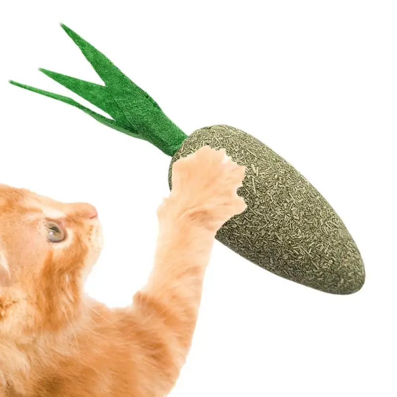 

Catnip Cat Toys Cartoons Style Edible Healthy Safety Catnip Ball Teeth Clean Cats Catnip Filled Cartoon Cat Toys Cat Teething
