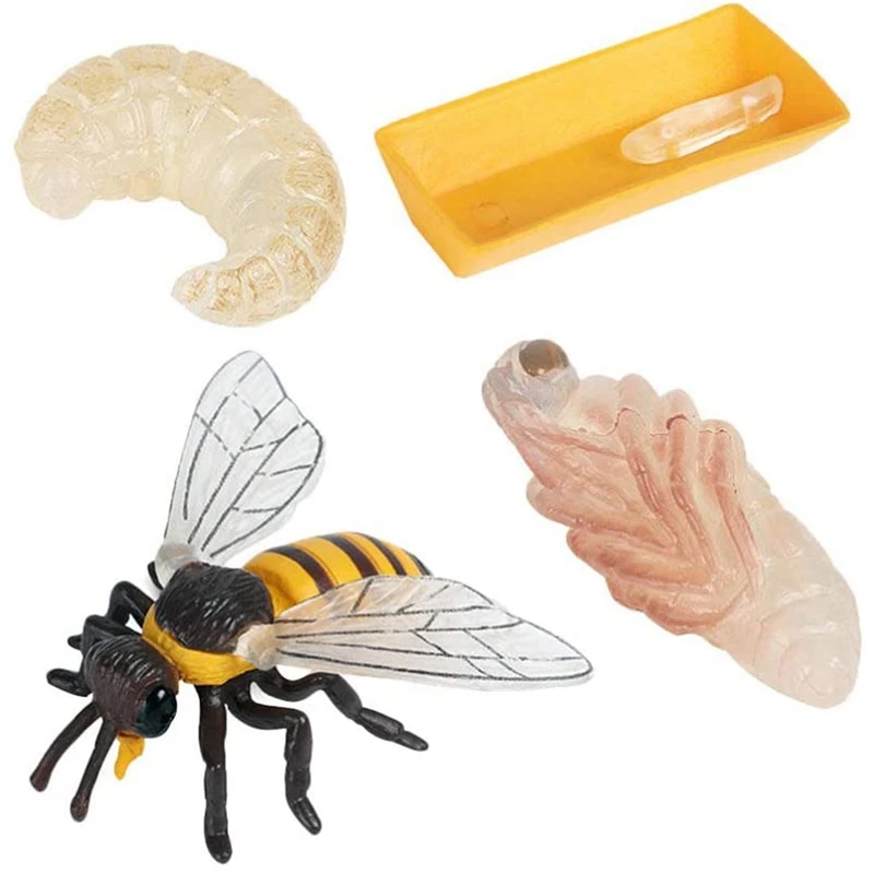 

Набор из 4 фигурок насекомых, реалистичные строительные игрушки, развивающая научная модель, игрушка