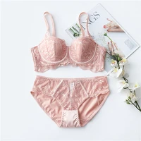 2022 french sexy lace bra set woman embroidered lingerie thin cotton comfortable gather bra set lingerie plus size wholesale