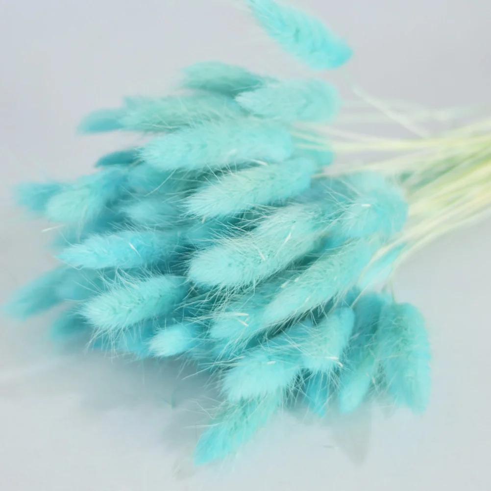 

Dried Grass Pampas Flowers Bunny Tail Flower Natural Bouquet Tails Rabbit Dry Decor Bouquets Fake Wedding Pompous Arrangements