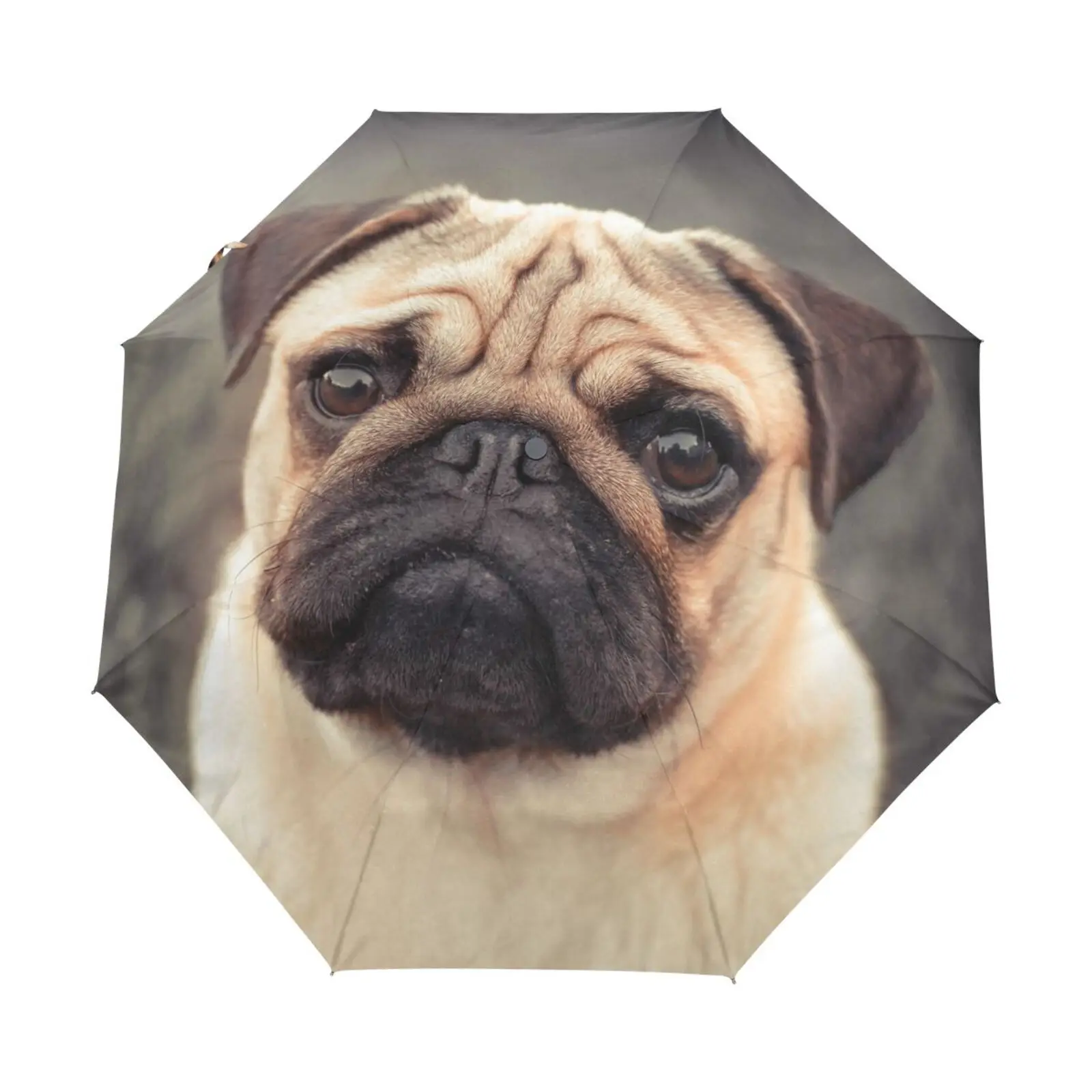 

Женский зонт-мопс