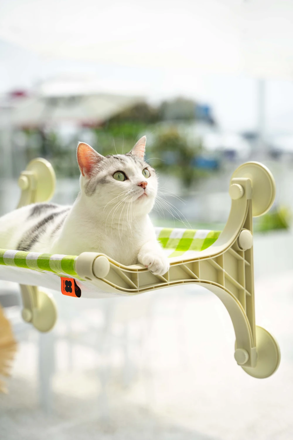 

Mewoofun Four-Seasons-Use Cat Hammock Window Perch Detachable Washable Space-Saving Cat Furniture Hanging Pet Bed