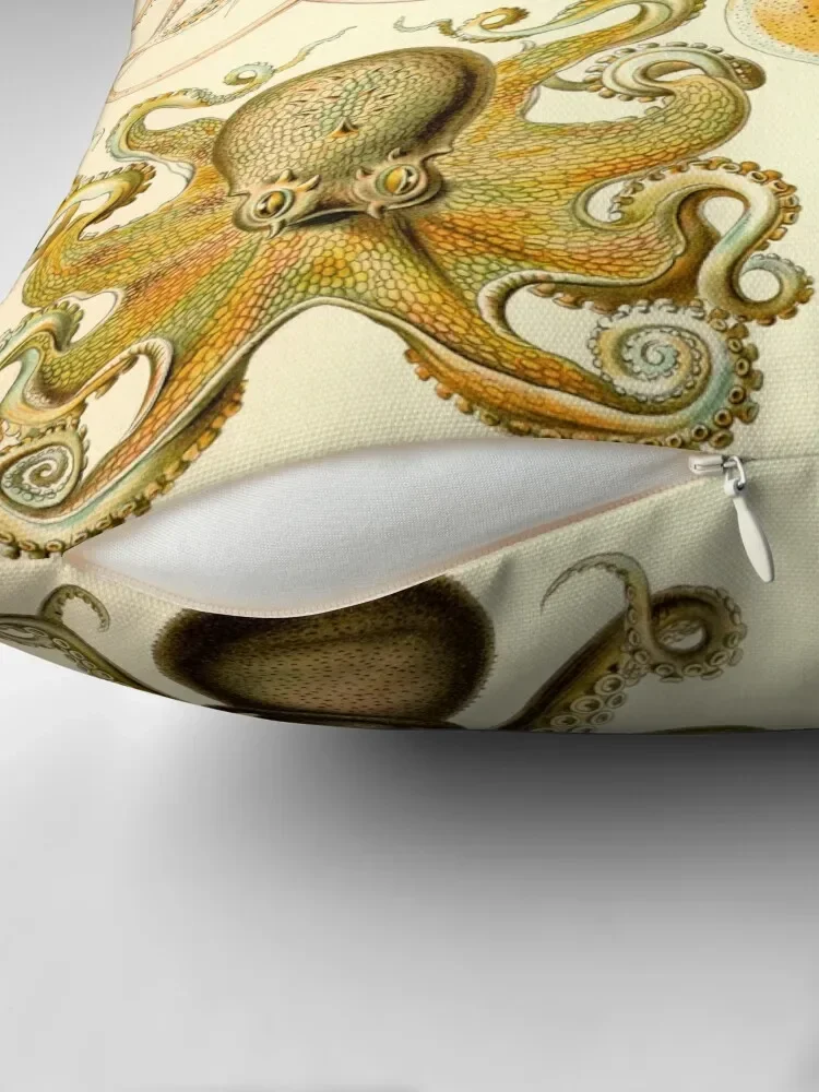 Декоративная Рождественская Подушка Gamochonia Эрнст Haeckel декоративная наволочка