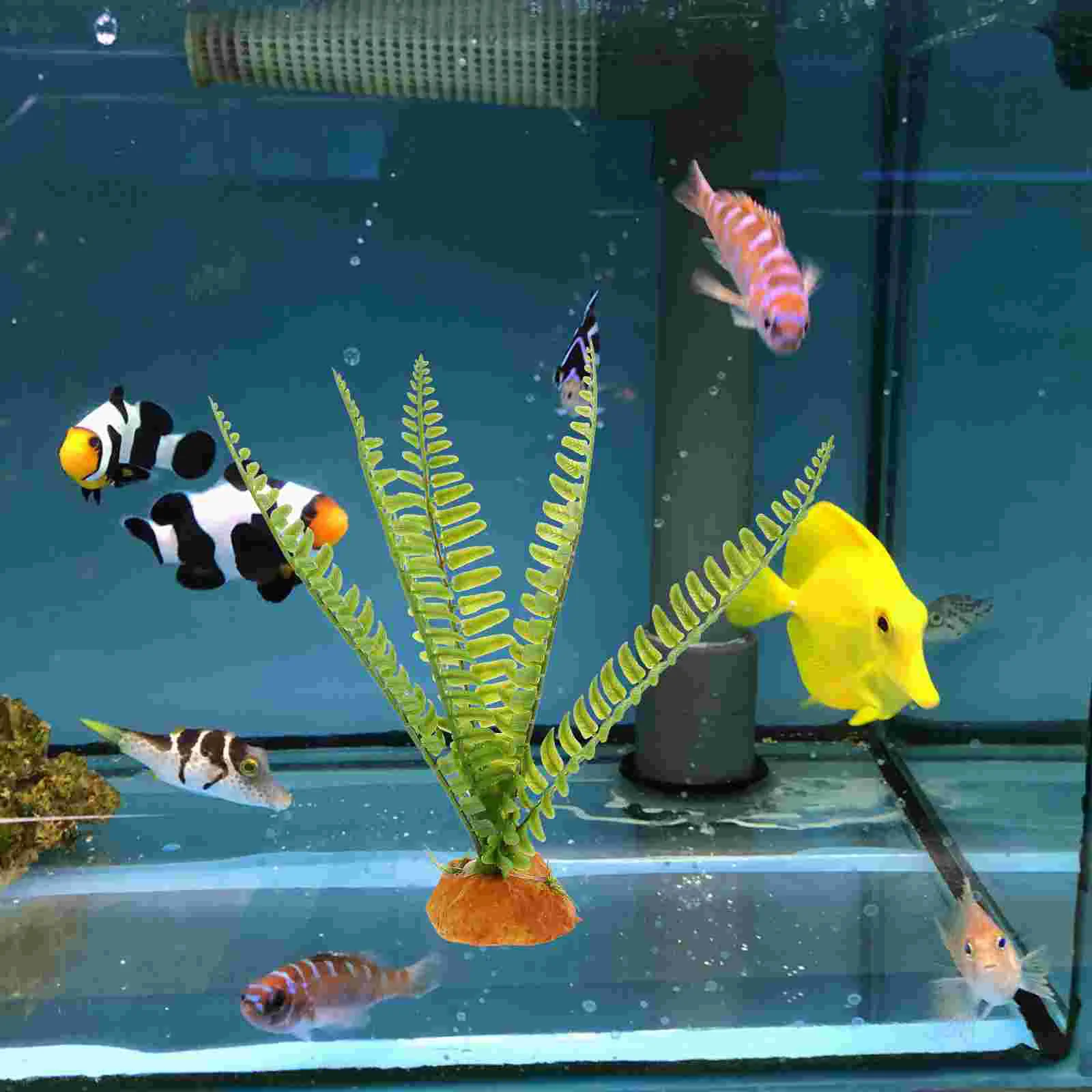 Бородатый дракон аксессуары для аквариума растения рептилий искусственные