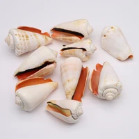 natural shell beads no hole yellow snail bead charms for jewelry making necklace bracelet gift decoration
