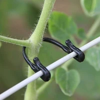 50pcs grape binding binding line gardening strap vine binding clip
