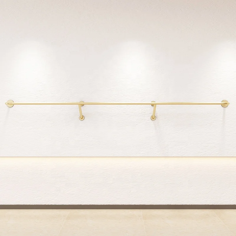 по индивидуальному заказу. Модный дизайн интерьера одежды металлическая