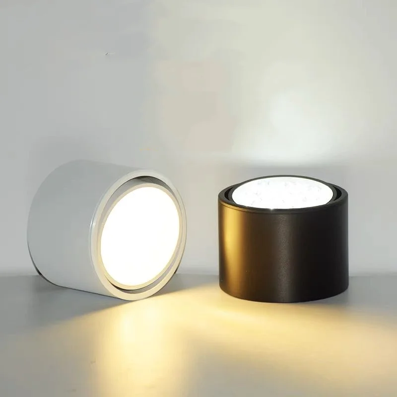 

Led Downlight Lamp Round Spot Lamp Verstelbare Hoek Plafond Plafond Plafond Shop Commercial Aisle Corridor Angle Round Downlight