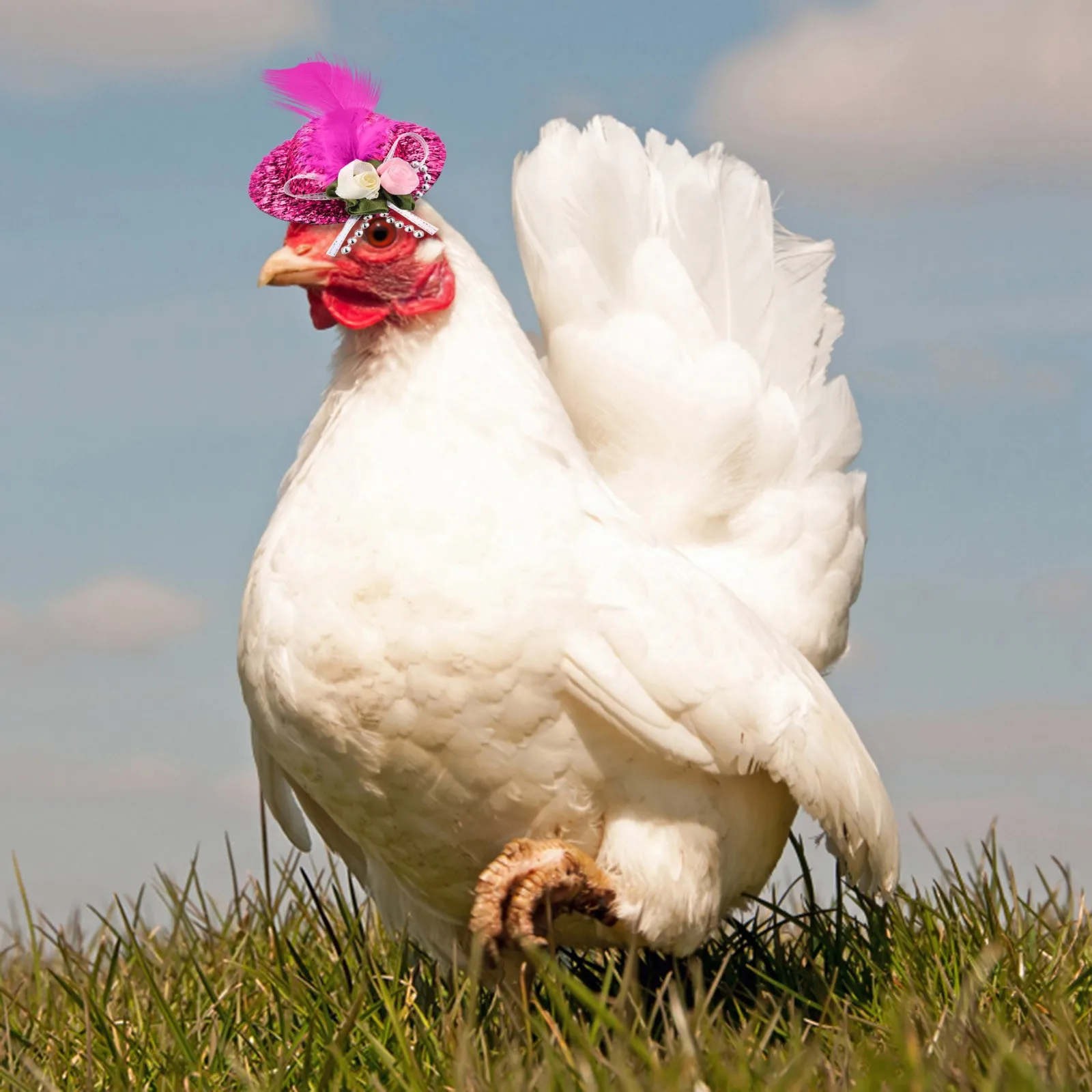 Куриные шляпы для курицы маленькие забавные аксессуары цилиндр с перьями собак