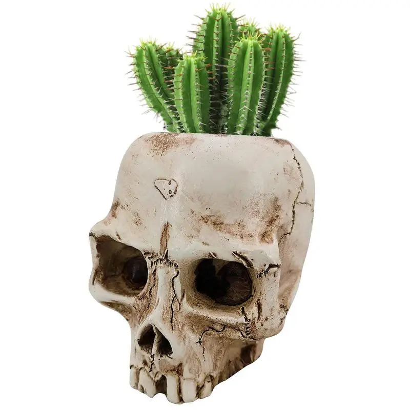 

Resin Crafts Human Tooth Skull Fossils Teaching Skeleton Model Halloween Home Office Flower Pot Planter Skull Pot Decoration
