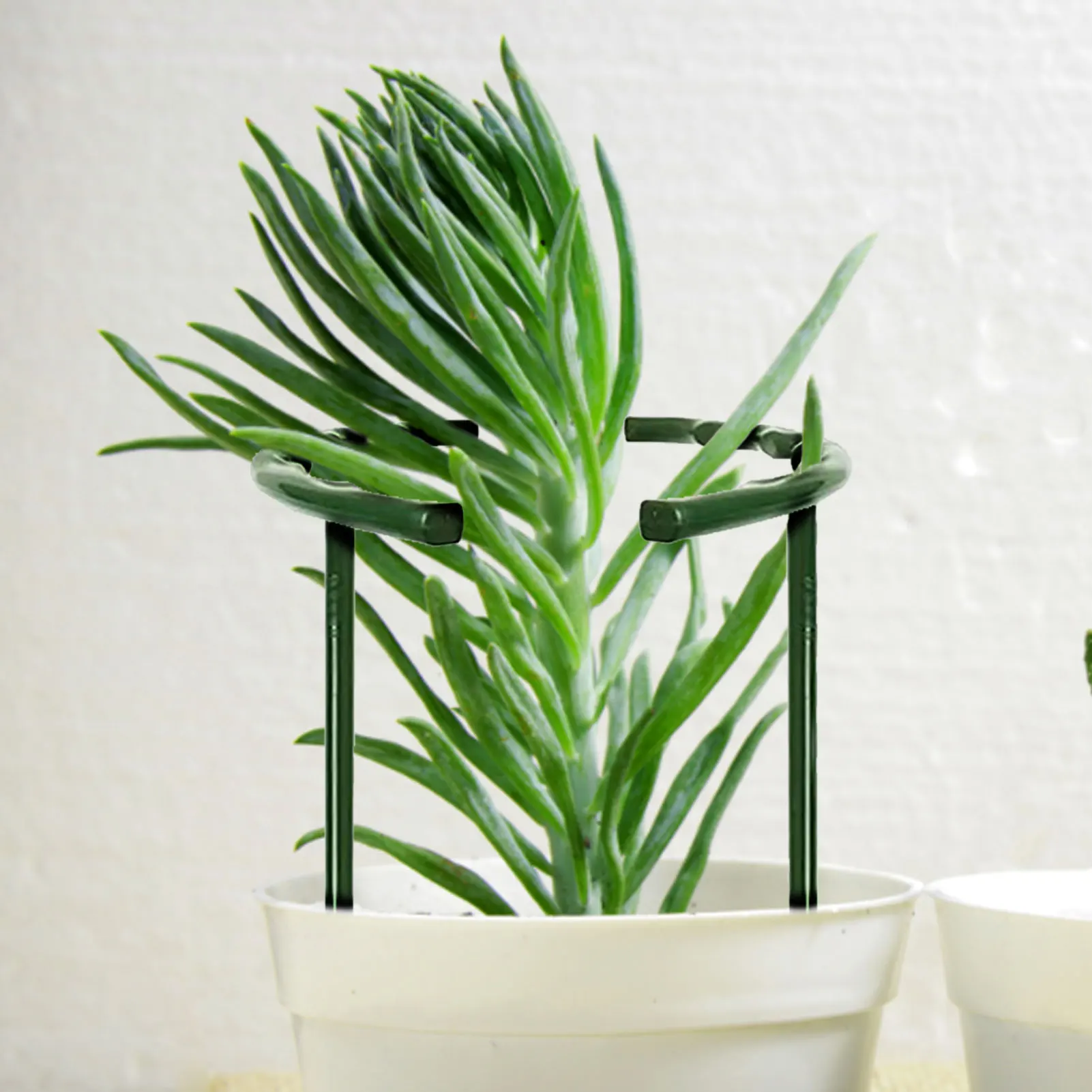 

Подставка для растений в форме банта, садовая полукруглая томатная клетка, подставка для зеленых растений, для цветов, винограда, розы