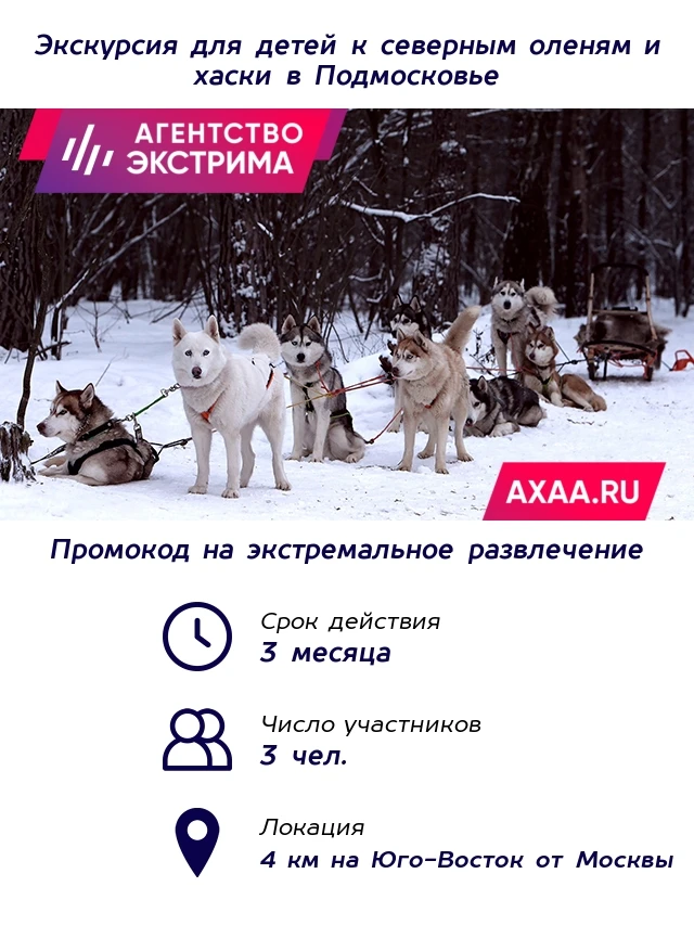Экскурсия к северным оленям и собакам 1 взрослый + 2 детей в будний день / Промокод |