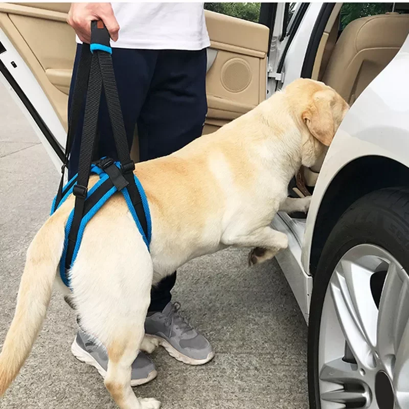 

2023New Adjustable Dog Lift Harness For Back Legs Pet Support Sling Help Weak Legs Stand Up Pet Dogs Aid Assist Tool For Old Dog