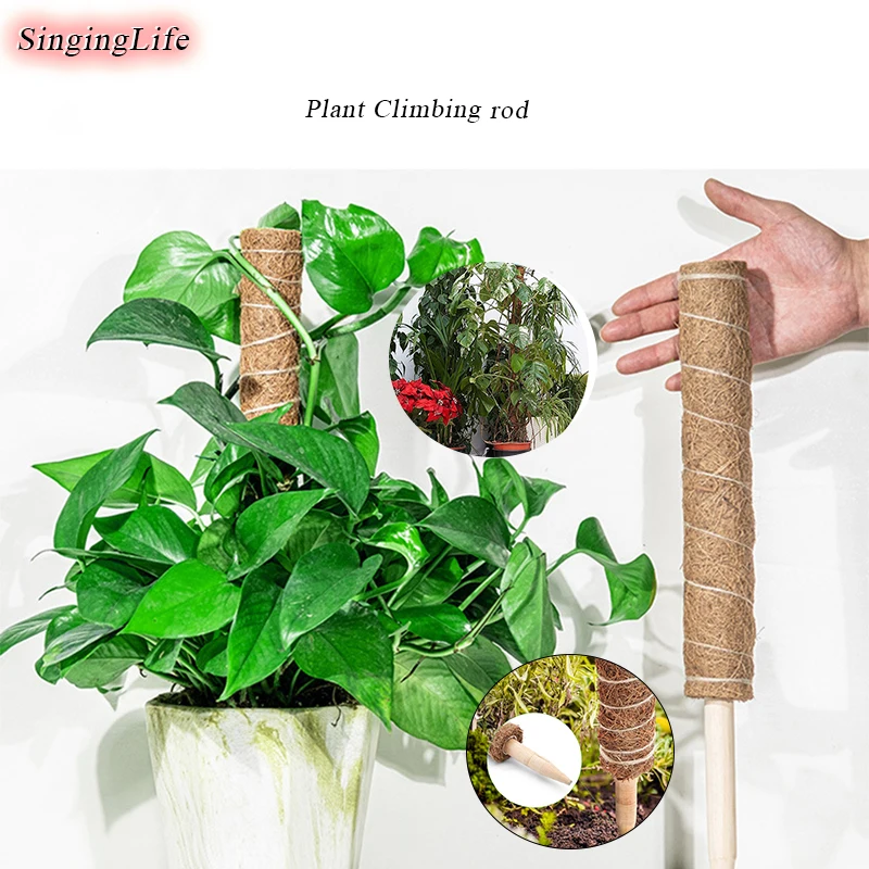 

Plant Climbing Rod Garden Coir Totem Shredded Coconut Palm Sticks Vine And Creepers Plant For Climbing Plants Support Extension